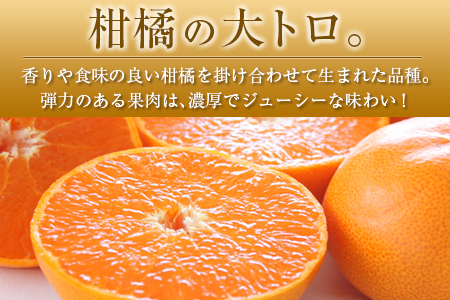 ◇宮崎県産 せとか 約3kg（8～12玉入）