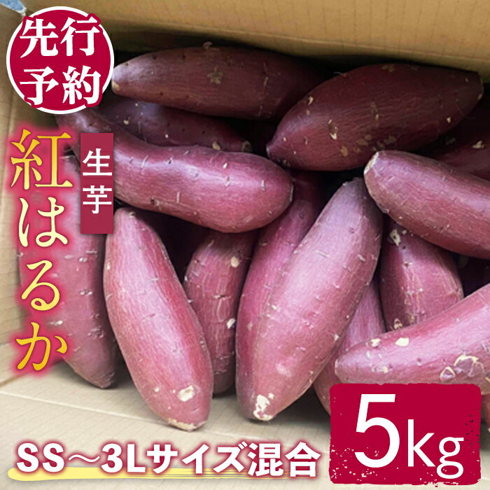【ふるさと納税】＜先行予約受付中！2026年11月上旬以降順次発送予定＞【訳あり】サツマイモ（紅はるか） 5kg ss〜3Lサイズ混合 訳あり わけあり さつまいも サツマイモ べにはるか 紅はるか 生芋 なまいも 常温 【桑原農園】【ho1617】