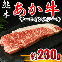 【ふるさと納税】牛肉 ステーキ あか牛 サーロインステーキ 230g×1枚 冷凍 熊本 送料無料 | 玉名 熊本