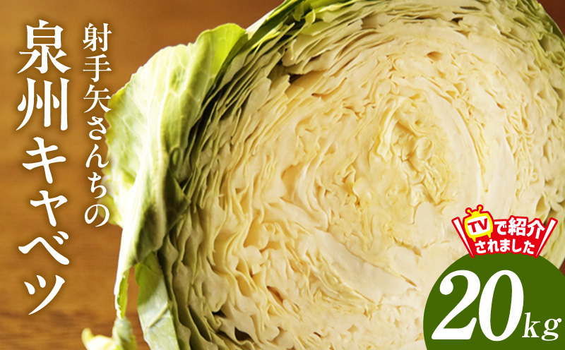 【スピード発送】射手矢さんちの泉州キャベツ 20kg【新鮮 野菜 泉佐野産 やさい 射手矢農園 高評価 数量限定 TVで紹介！】
