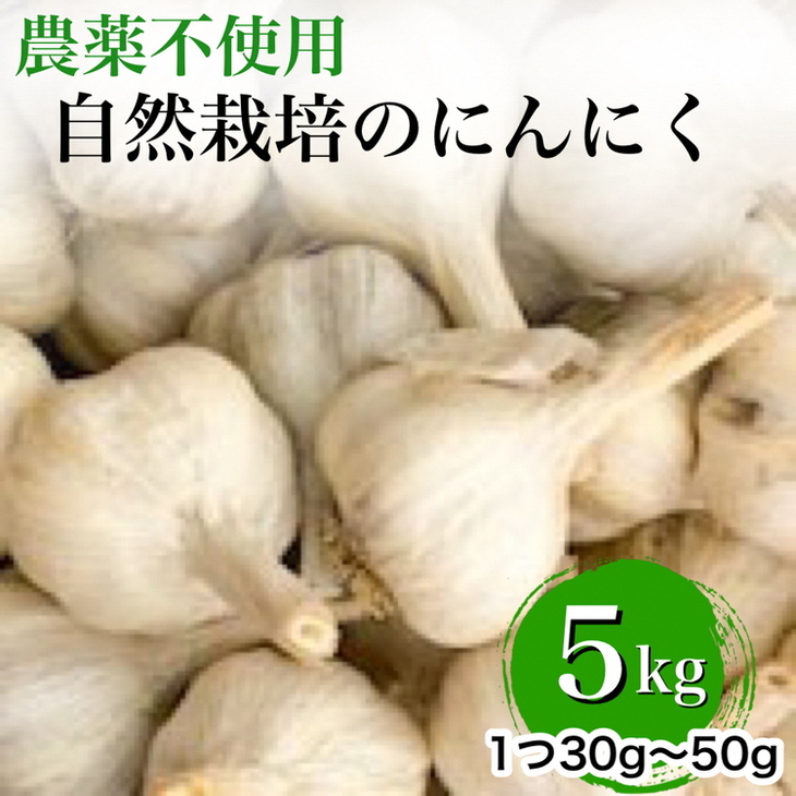 【2025年産 予約】にんにく 5kg 京都府・亀岡産 自然栽培のかたもとオーガニックファームよりお届け ※離島への発送不可 ※2025年6月下旬～9月下旬頃に順次発送予定