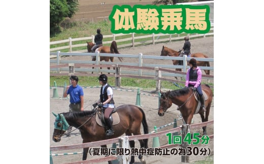 体験乗馬 メンバー体験コース FAA-116