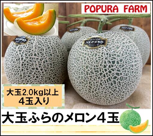 【ふるさと納税】【2026年発送】【ポプラファーム】富良野メロン大玉4玉（計8kg以上　秀品）