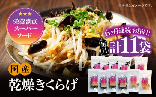 【全6回定期便】【栄養満点のスーパーフード！りんりんきくらげ】国産 乾燥 木耳 美容 健康 ぷりこりセット 計11袋 きくらげ キクラゲ 木耳 きのこ キノコ 食品 食物繊維 野菜 やさい ビタミンD 乾燥 炒め物 ラーメン 便利 密封 安心 安全 美容 健康 腸活 ギフト 国産 広島県産 人気 江田島市/株式会社凛[XCB010]