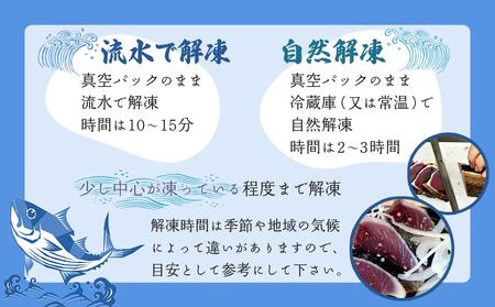 本場土佐久礼・わら焼きトロ鰹たたき【Sセット・約3人前】多田水産・高知