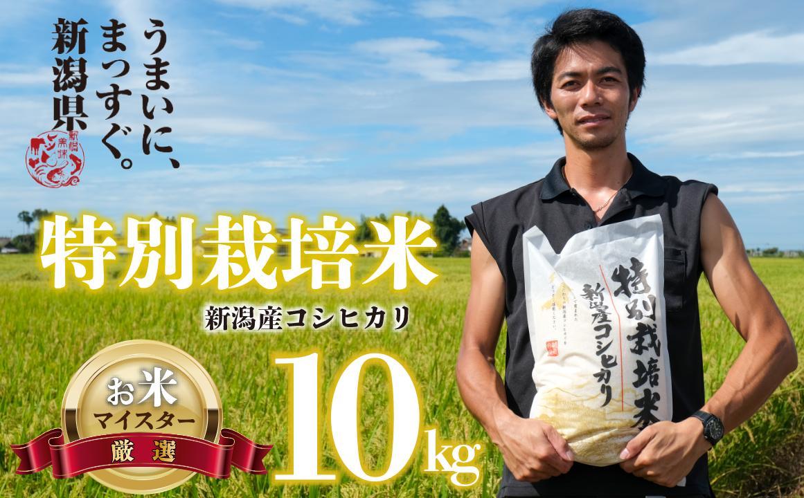 
            【令和6年産】 新米 コシヒカリ 10kg 5kg 2袋 新潟産 特別栽培米 コシヒカリ 斗伸 新潟県 コメ お米 米 こめ しんまい 新潟米 新潟 新発田 斗伸
          