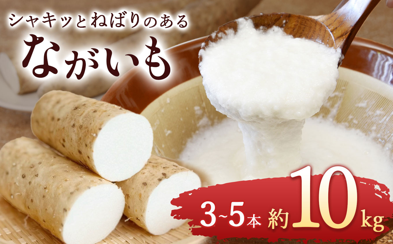 
ながいも 約 10kg | 野菜 やさい 長芋 ながいも 長野県 塩尻市
