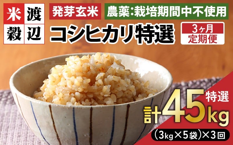 
                  【期間限定】【3ヶ月連続お届け】【令和7年産】発芽玄米 コシヒカリ「特選」特別栽培米使用 15kg（3kg×5袋）×3回（計45kg）【米 こしひかり 玄米 ギャバ GABA 特別栽培 食物繊維 栄養 真空パック ごはん ご飯 おいしい ふるさと納税米】 [O-2904]
                