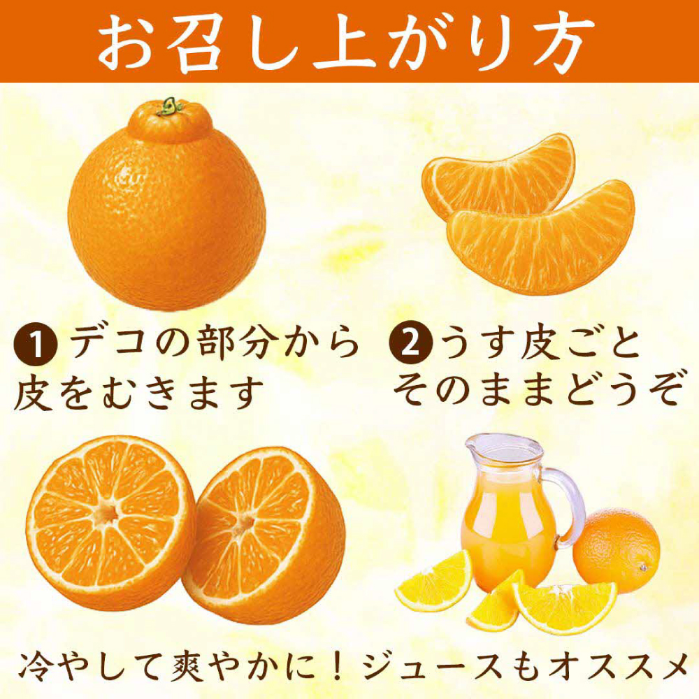 【先行予約】 不知火 デコみかん (デコポン同品種) 約10kg (24～48玉) フルーツ くだもの 果物 みかん ミカン おやつ デザート 旬 熊本県 八代市 【2027年2月上旬より順次発送】_