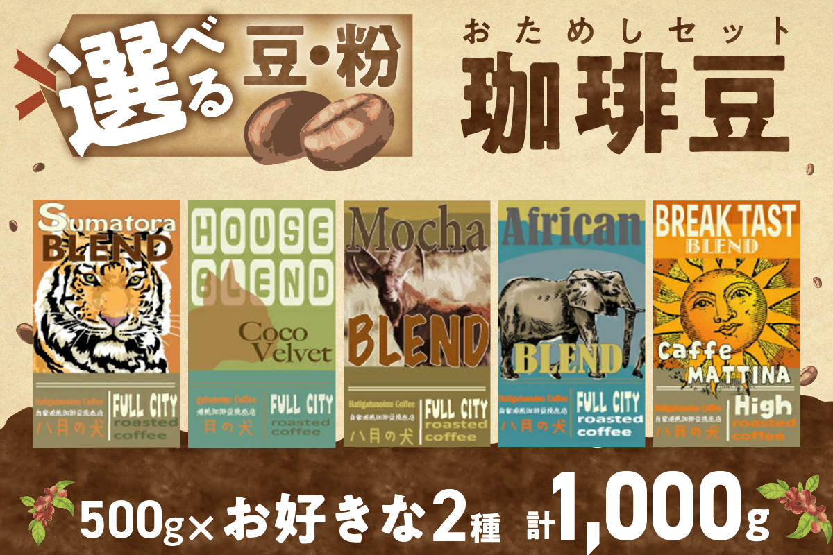 5種類から２つ選べる　 自家焙煎コーヒー豆　飲み比べセット　1000ｇ（500gx2種/約100杯分）挽き方が選べる　八月の犬