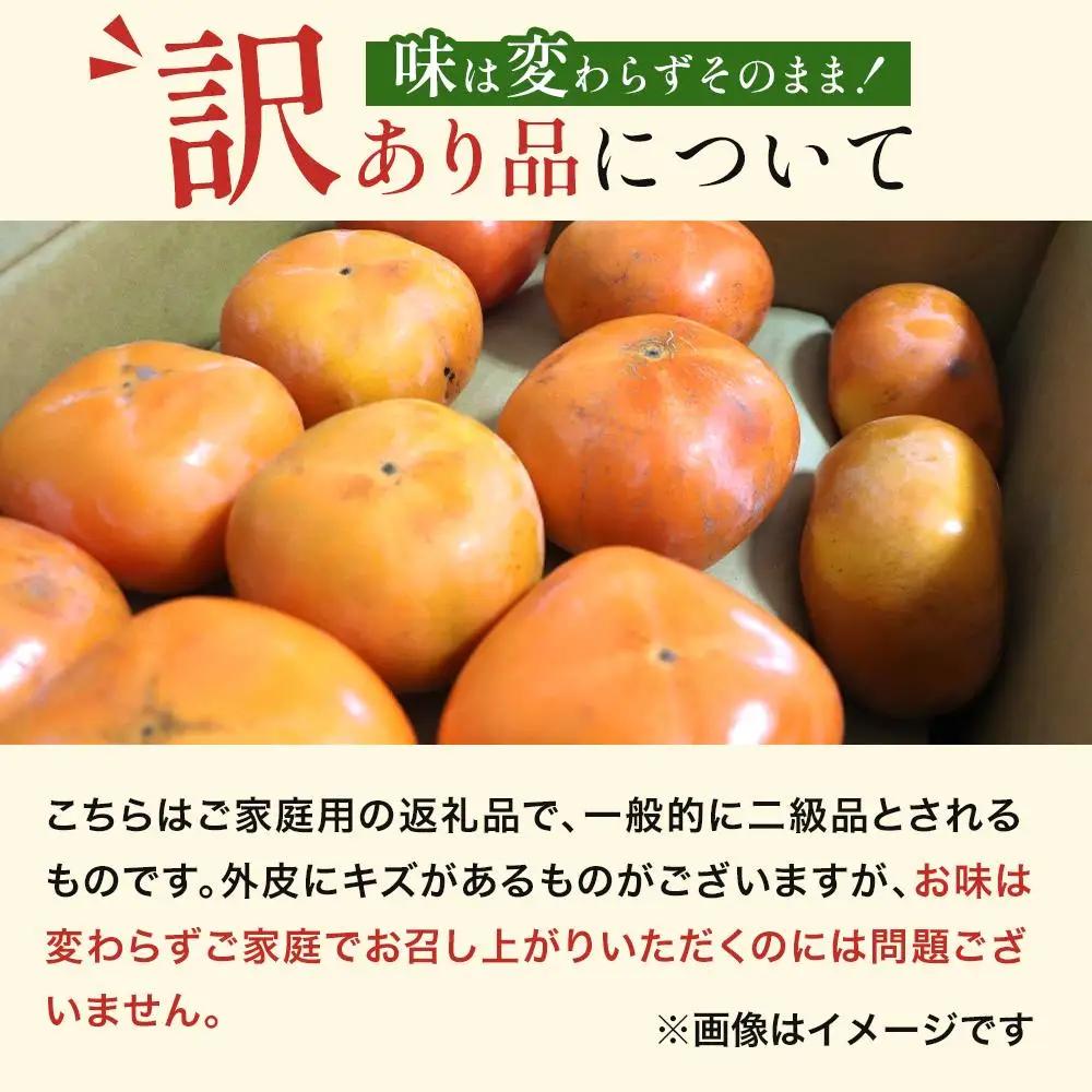 和歌山県産 訳あり 平核無柿 7.5kg L ~ 2L たねなし柿 ［2026年10月上旬～発送］
