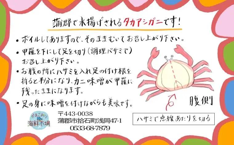 【数量限定】蒲郡産 タカアシガニの茹でたてを食べられる体験（来店型）_【G0776】