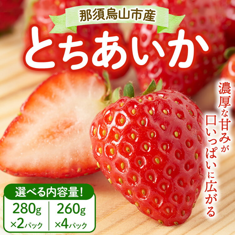 【ふるさと納税】【選べる容量】那須烏山市産 とちあいか 280g×2P・260g×4P ｜ いちご イチゴ 苺 先行予約 果物 くだもの フルーツ とちあいか 新鮮 贈答 ギフト 栃木県 ※北海道・沖縄・離島への配送不可 ※2026年1月下旬～5月下旬頃に順次発送予定
