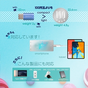 Owltech(オウルテック) microUSBをUSB Type-Cに変換できる メタル調Type-C変換アダプタ OWL-ADCMFM-BK ブラック