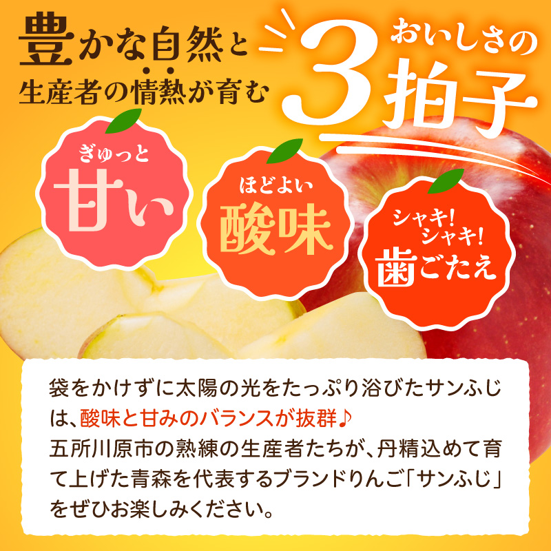 【2027年1月下旬発送】【訳あり】りんご 約10kg サンふじ 青森産