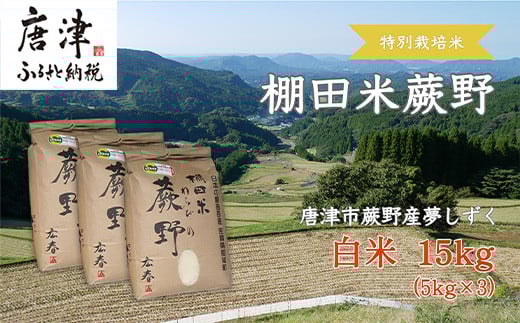 『先行予約』【令和7年産新米】特別栽培棚田米「蕨野」5kg×3袋(合計15kg) 家庭排水が一切入らない自然水で作られたお米 10日に1回精米で新米のような味わい