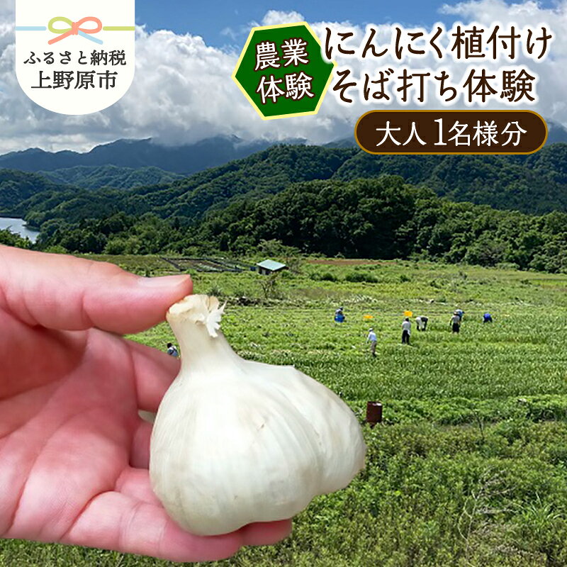 【ふるさと納税】 ＼＼にんにく植付け＋そば打ち体験／／ 超熟成 黒にんにく そば打ち 蕎麦 山梨県産 健康食品 国産 超熟 にんにく おやつ フルーツ のように 甘い 送料無料 山梨県 上野原市