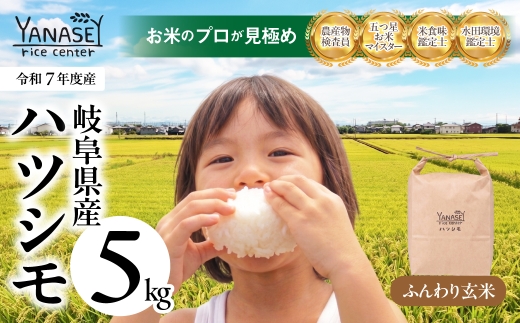 ≪令和7年度産≫ お米 ハツシモ はつしも 5kg ふんわり玄米 美味しい 食味鑑定士 五つ星お米マイスター 産直 おいしい kome 米 ブランド米 ごはん 大粒 精米 人気 初霜 幻の米 15000円 1万5千円 柳瀬ライスセンター 岐阜県 大垣市