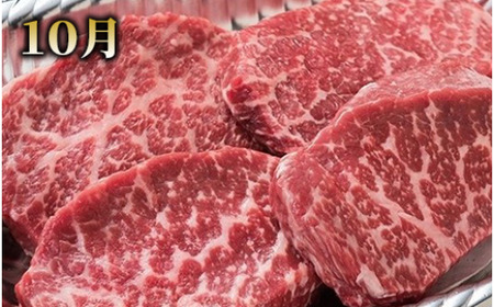 全5回定期便 大満足 ステーキ三昧 定期便 Meat you Z-047 牛肉 牛肉