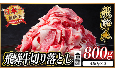 飛騨牛 切り落とし 約800g(約400g×2パック)【冷蔵便】A4～A5等級 黒毛和牛 小分け_肉 飛騨牛 牛肉 うし ビーフ_【配送不可地域：離島】【1544083】