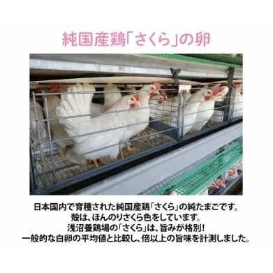 純国産鶏【さくらともみじ】純たまご30個入り 破損保証5個を含む【12ヶ月連続お届け】 (AJ034) 国産 卵 産地直送 飼料にこだわった 鶏卵