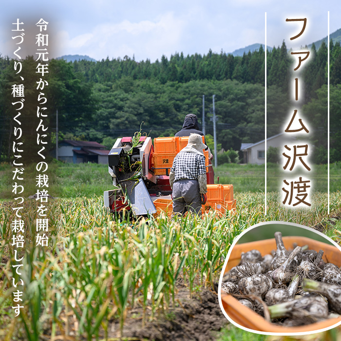生むきにんにく 1kg にんにく ニンニク ガーリック ホワイト おつまみ 健康 食品 料理 産地直送 宮城県 大和町【株式会社ファーム沢渡】ta553
