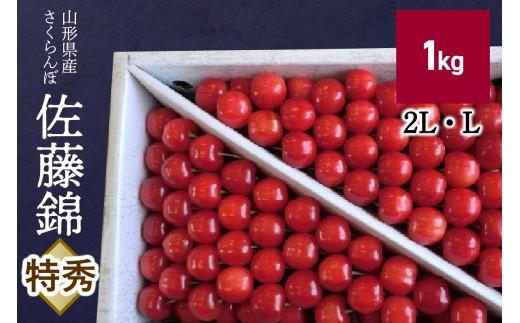 さくらんぼ（佐藤錦）１ｋｇ詰め　特秀品　0056-2608