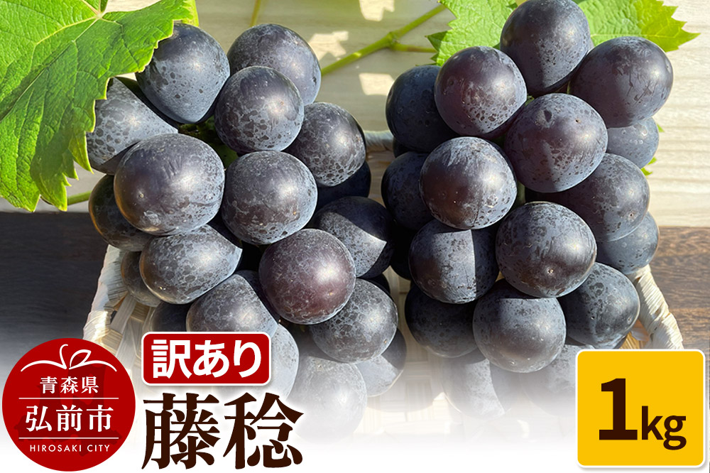 【26年9月〜発送】 【訳あり】 藤稔 1kg【先行受付】 ぶどう フルーツ 果物 ブドウ 葡萄 グレープ くだもの 産地直送
