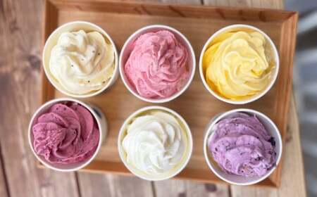 ニュースタンダード6個セット フローズンヨーグルト 120ml×6個 合計720ml セット 詰め合わせ