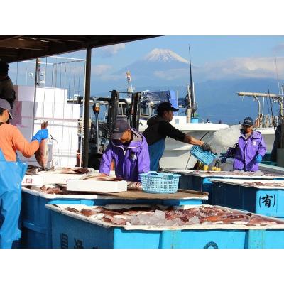 ふるさと納税 沼津市 沼津産マダイの煮付け(6切れ) |  | 03