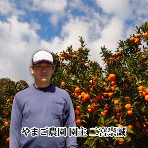 やまご農園 高糖度みかん!「あけぼの」【C39-11】【配送不可地域：離島】【1491797】
