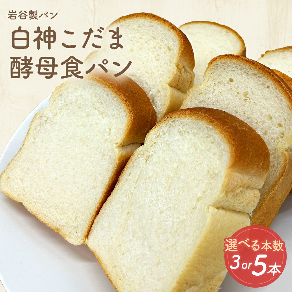 【ふるさと納税】【選べる容量！】 白神こだま酵母食パン 3・5本　 ブレッド グルメ 朝食 ギフト お取り寄せ お歳暮 父の日 母の日 秋田県 大館市 【30P3009・45P3003】