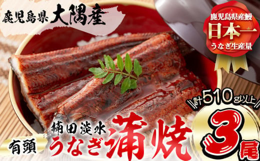 
楠田の極うなぎ蒲焼き 170g以上×3尾(計510g以上) うなぎ 鰻 ウナギ 国産 鹿児島県産 九州産 蒲焼き 冷凍 うな重 ひつまぶし b2-010
