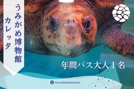 日和佐うみがめ博物館カレッタ入館年間パス　【大人１名分】
