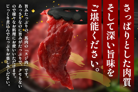 【 定期便 12回 】 熊本県 馬スジ 1㎏（ 500g×2 ） × 12回 【 合計 12kg 】 馬肉 すじ肉 大容量 本場 熊本県 馬 赤身 煮込み カレー シチュー 冷凍 真空 熊本 肥育 ヘ