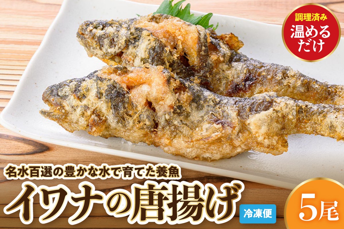 
                  養魚の唐揚げ（イワナ5尾）山形県 東根市 さもりば養魚場提供 hi096-003
                