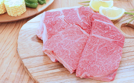 飛騨牛 ロース焼肉 オリジナルカット 焼肉用 飛騨牛