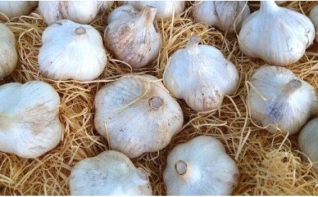 ダイヤモンドにんにく 1kg 北海道 美瑛町 にんにく ニンニク オニオン [014-14] 