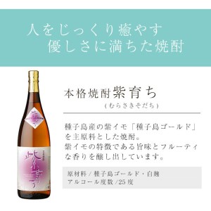 焼酎セットE「島乃泉・紫育ち」(1.8L×各1本) 鹿児島 種子島 芋 いも お酒 四元酒造 【四元商店】n023-2