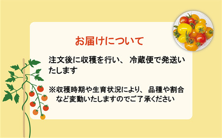 ＜丘の風ファーム ミニトマトミックス2個セット＞