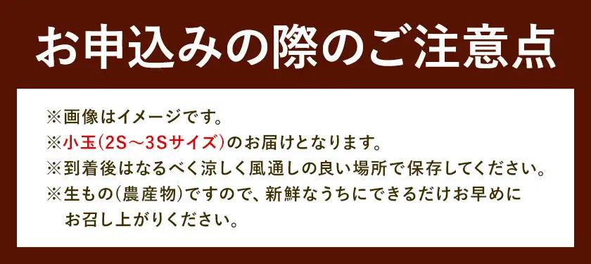 みかん 温州みかん ご家庭用 5kg 小玉 2S～3Sサイズ GOGO農園