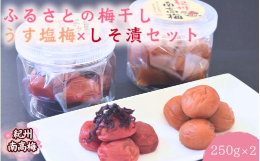 【紀州南高梅】ふるさとの梅干し うす塩梅×しそ漬セット 250g×2 / 和歌山 田辺 紀州 南高梅 お試し 試食 初めて 味見 特選 国産 おにぎり お弁当 二種 500g  免疫 塩分補給 【nm