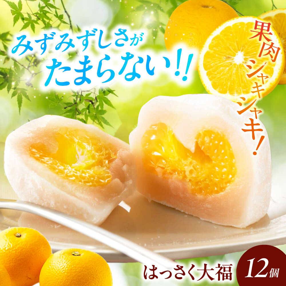 【ふるさと納税】【お中元対象】お菓子 はっさく大福12個入 お菓子 大福 八朔 柑橘 みかん オレンジ 餅 ギフト お取り寄せ スイーツ フルーツ大福 ご当地 おかし デザート 福山市/株式会社虎屋本舗[BADH012]