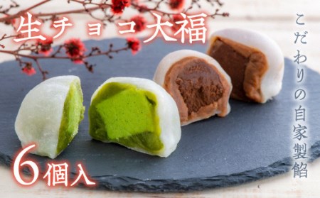 0B1-91 生チョコ大福、抹茶生チョコ大福詰合せ（各3個入）