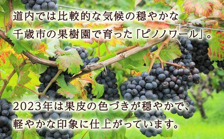 千歳ワインピノノワール2023 （Chitose Wine PINOT NOIR2023）750ml 1本＜ギフト箱入＞