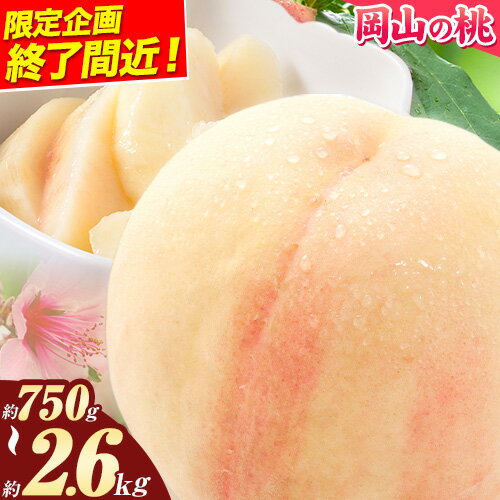 【ふるさと納税】【先行予約】桃 岡山の桃 岡山黄桃 約750g 約1kg 約2.6kg《2025年6月下旬-9月上旬頃出荷》 ご家庭用 訳あり 白桃 岡山 黄桃 はくとう スイーツ フルーツ 果物 デザート 旬 モモ もも 先行予約 送料無料 果物 岡山県 笠岡市 清水白桃 白鳳 白麗 クール便