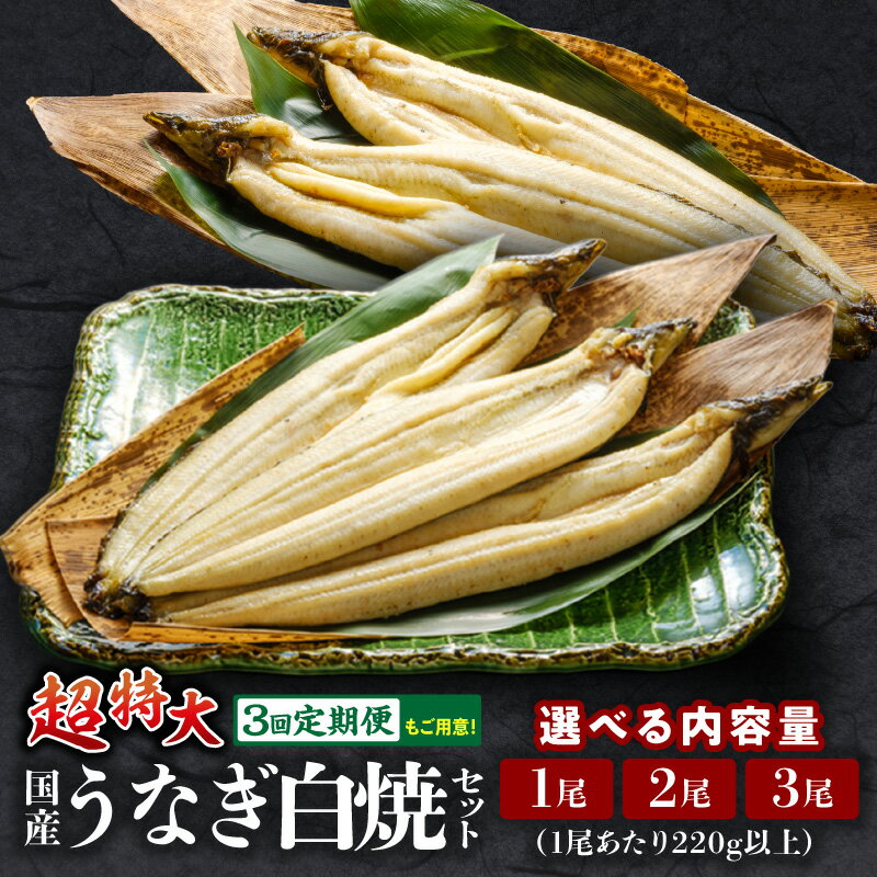 【ふるさと納税】【内容量・発送時期・定期便が選べる】うなぎ白焼(超特大サイズ) セット 鰻 うなぎの白焼き 超特大サイズ たれ 惣菜 贈答 贈り物 ギフト プレゼント ご褒美 手土産 お祝い 冷凍 グルメ おすすめ 冬うなぎ 宮崎市