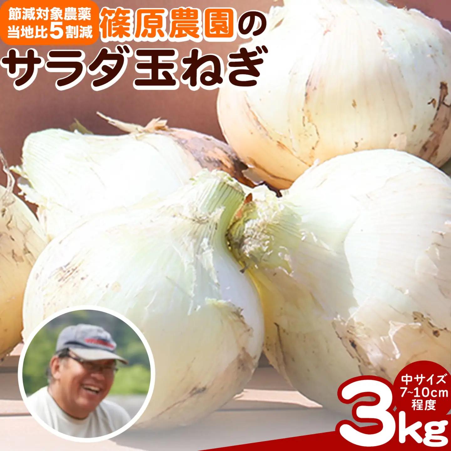 玉ねぎ 節減対象農薬 当地比5割減 サラダ玉ねぎ (中サイズ) 3kg 篠原農園