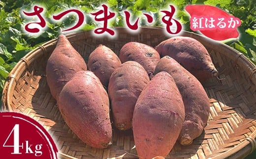 
                  さつまいも4㎏ ｜ サツマイモ 紅はるか かんしょ 美浜町産 知多半島産 愛知県産 国産 期間限定　※北海道・沖縄・離島への配送不可
                