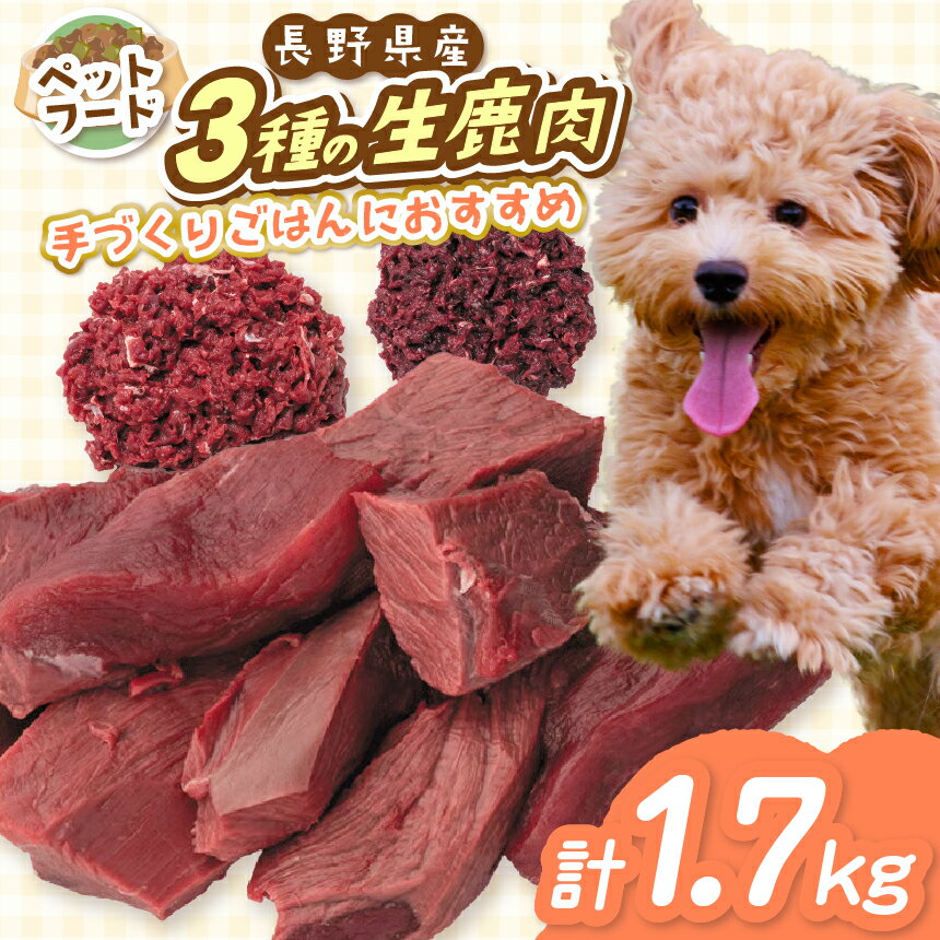 【ふるさと納税】「無添加・無着色」 南アルプス産鹿 ペット用 鹿生肉セット | ペットフード ペット用 生肉 鹿生肉 肉 切り落とし ミンチ ジビエ セット 無添加 無着色 長野県 伊那市 信州 ふるさと納税